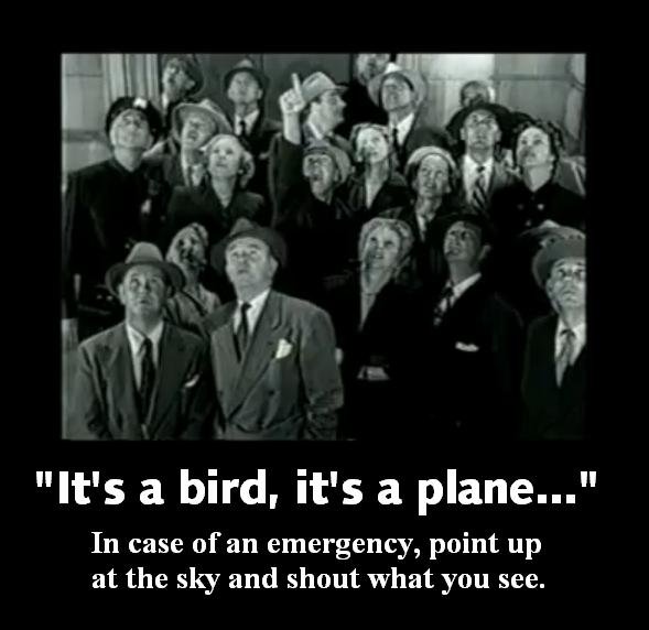 Ooops! There was supposed to be a funny image here about birds and planes - our bad.